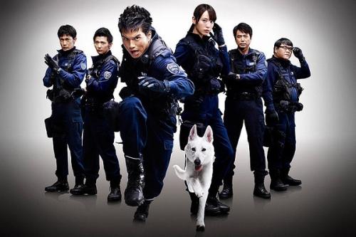 康科德（Concord）假证制作